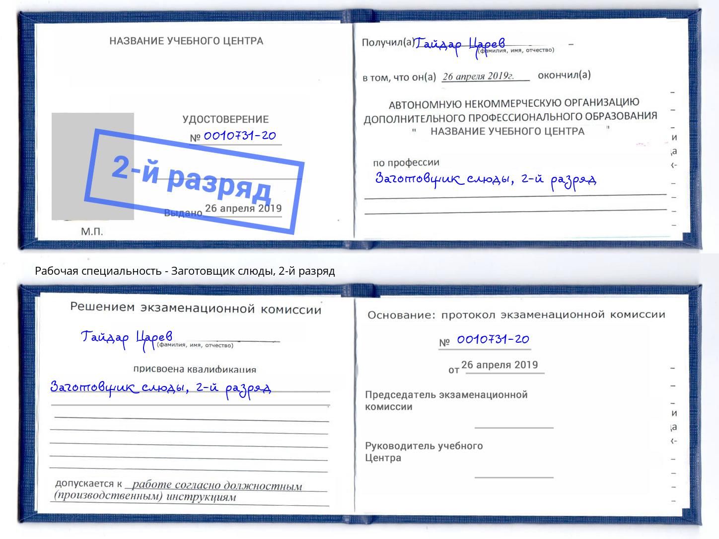 корочка 2-й разряд Заготовщик слюды Апатиты