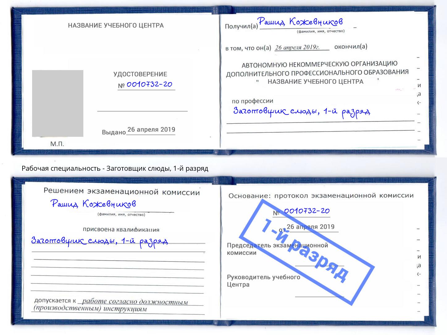 корочка 1-й разряд Заготовщик слюды Апатиты